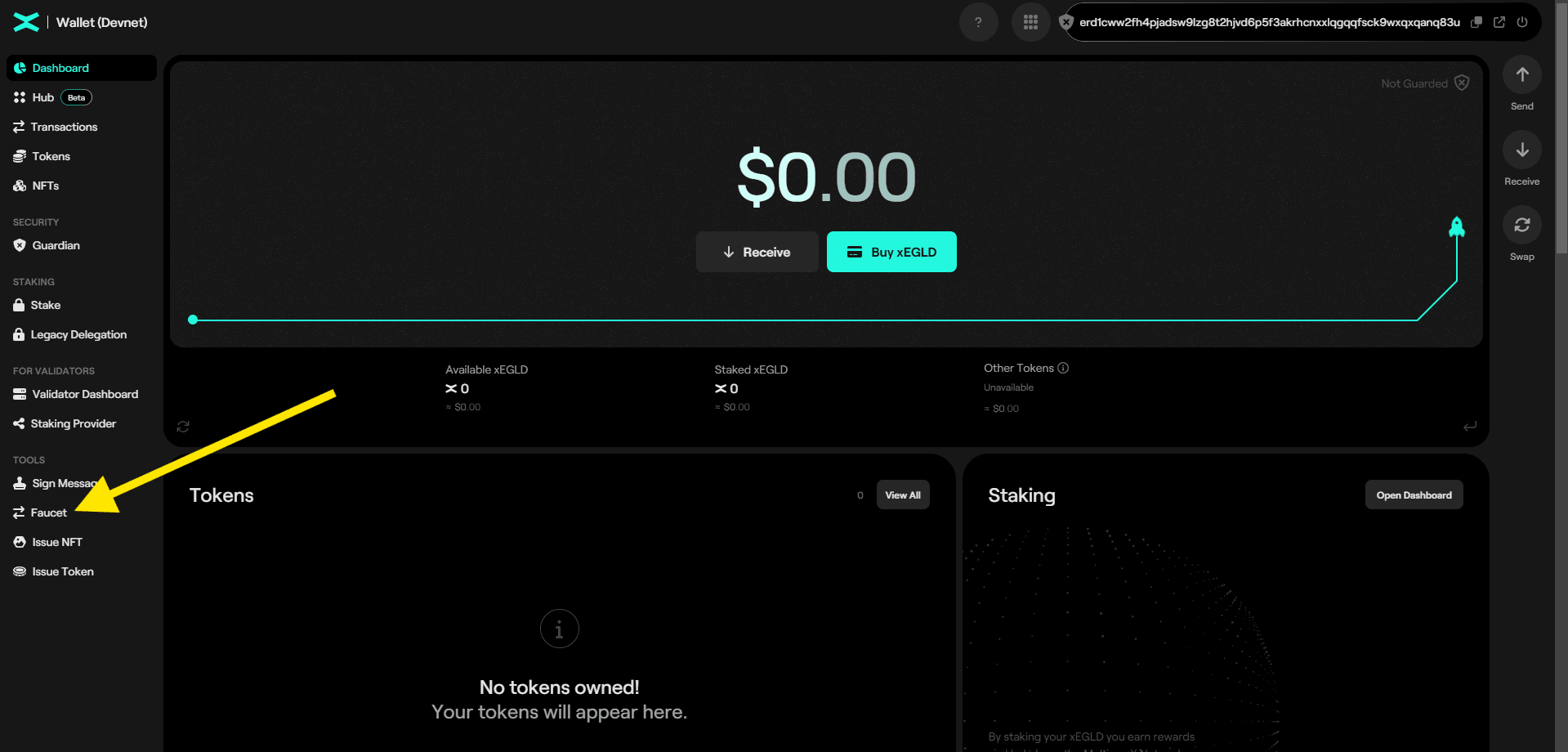 Testnet Instructions: Getting Test Tokens — MultiversX