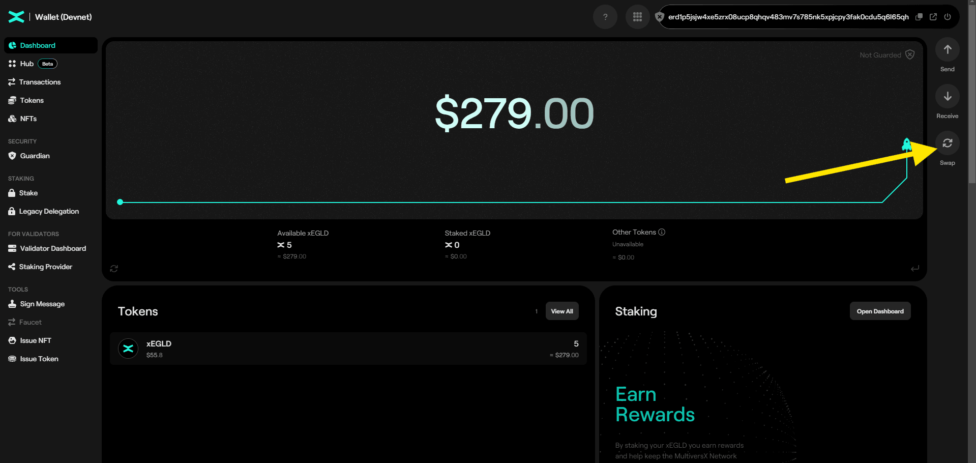 Testnet Instructions: Getting Test Tokens — MultiversX