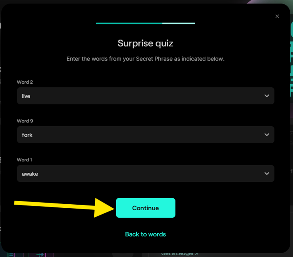 Testnet Instructions: Wallet Creation — MultiversX Devnet